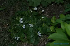 comp_DSC04849.webp