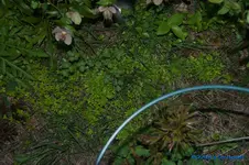 comp_DSC04850.webp