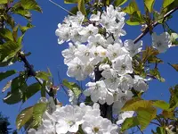 IMGP8652.webp