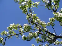 IMGP8653.webp