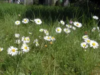 IMGP8655.webp
