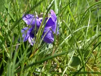 IMGP8656.webp