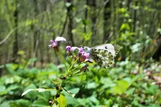 DSCF5747 (2).webp