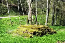 DSCF5761 (3).webp