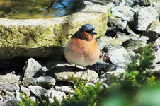 DSCF5763 (2).webp