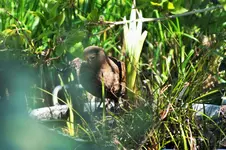 DSCF5766 (2).webp
