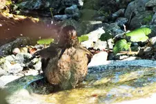 DSCF5768 (2).webp