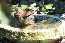DSCF5770 (2).webp