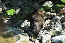 DSCF5771 (2).webp