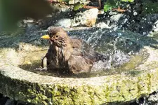 DSCF5774 (2).webp