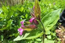DSCF5750 (2).webp