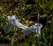 IMG_8927-2.webp