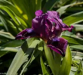 IMG_8940-2.webp