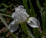 IMG_8947.webp
