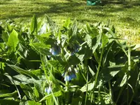 BILD4969.webp