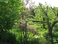 IMG_4723.webp