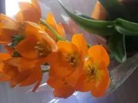 20160506_160931.webp