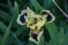comp_DSC04856.webp