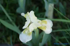 comp_DSC04859.webp