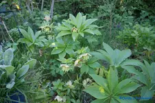 comp_DSC04854.webp