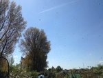 IMG-20160505-WA0001.jpg