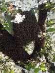 IMG-20160505-WA0003.jpg