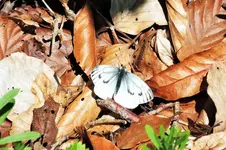 DSCF5754 (2).webp