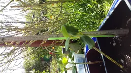 20160507_114742.webp