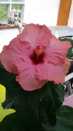 20160507_122014.webp