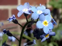 IMGP8679.webp