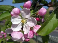 IMGP8669.webp