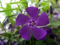 IMGP8667.webp