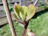 IMGP8681.webp