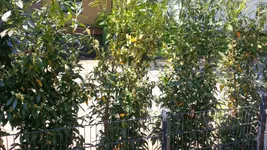 IMG_20160507_141846.webp