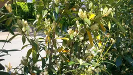 IMG_20160507_141855.webp