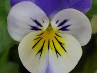 144.JPG