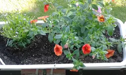 20160507_181304.webp