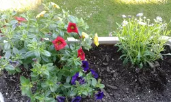 20160507_181257.webp
