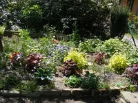 Schattenbeet.webp