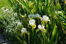DSC05260.webp
