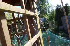 SAM_1167.webp