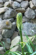 SAM_1184.webp