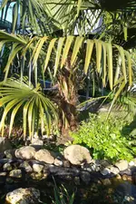 SAM_1192.webp