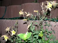 P1100471.webp