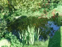 Teich.webp