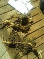 01_IMG-20160508-WA0021_resized[1].jpg
