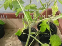 20160507_114515.jpg