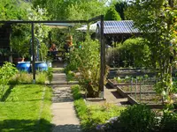comp_DSCN1820.webp