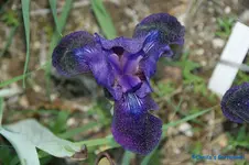 comp_DSC04863.webp