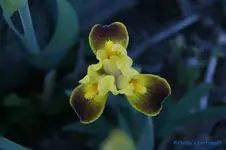 comp_DSC04864.webp